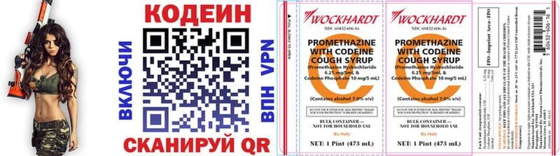 Купить закладки  Верхняя Пышма  Codein Purple Drank 