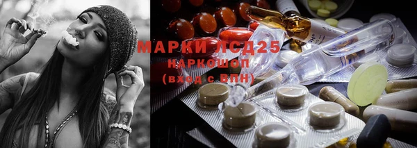 мяу мяу мука Беломорск