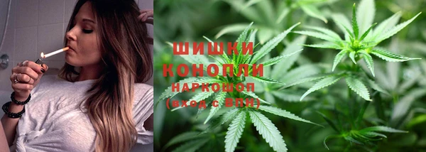 мяу мяу мука Беломорск