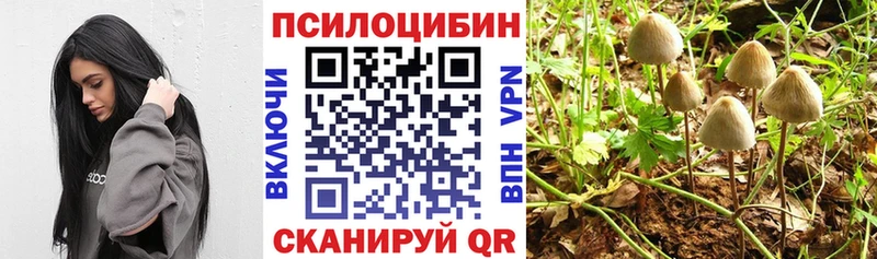 Псилоцибиновые грибы Magic Shrooms  Купить где  Верхняя Пышма 